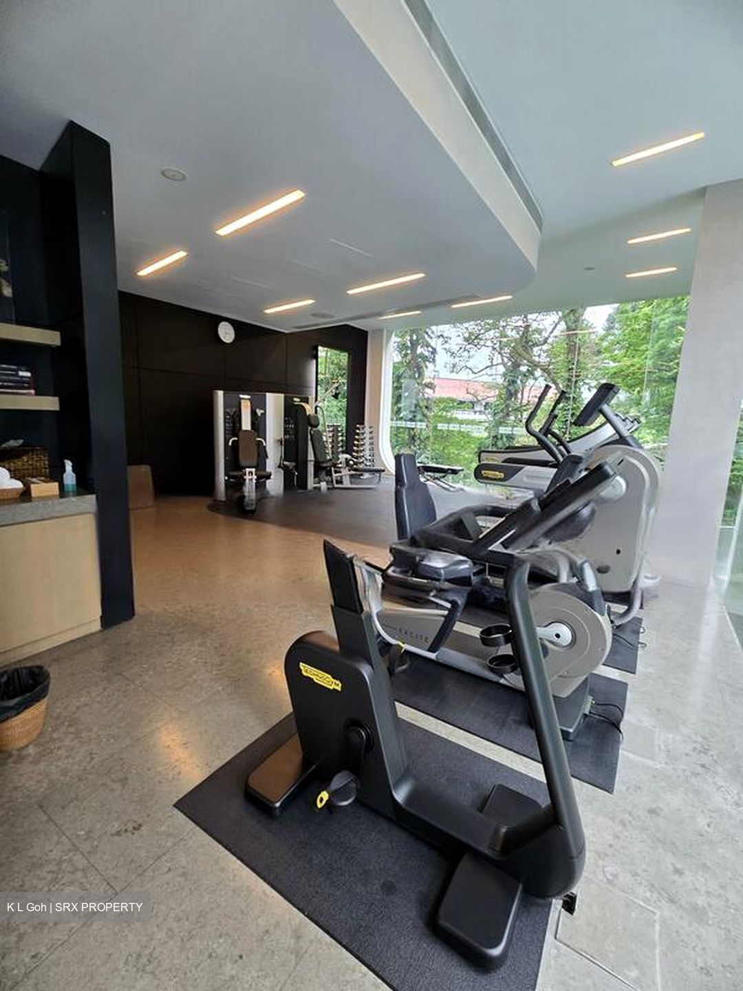 Ardmore Residence (D10), Condominium #450545451